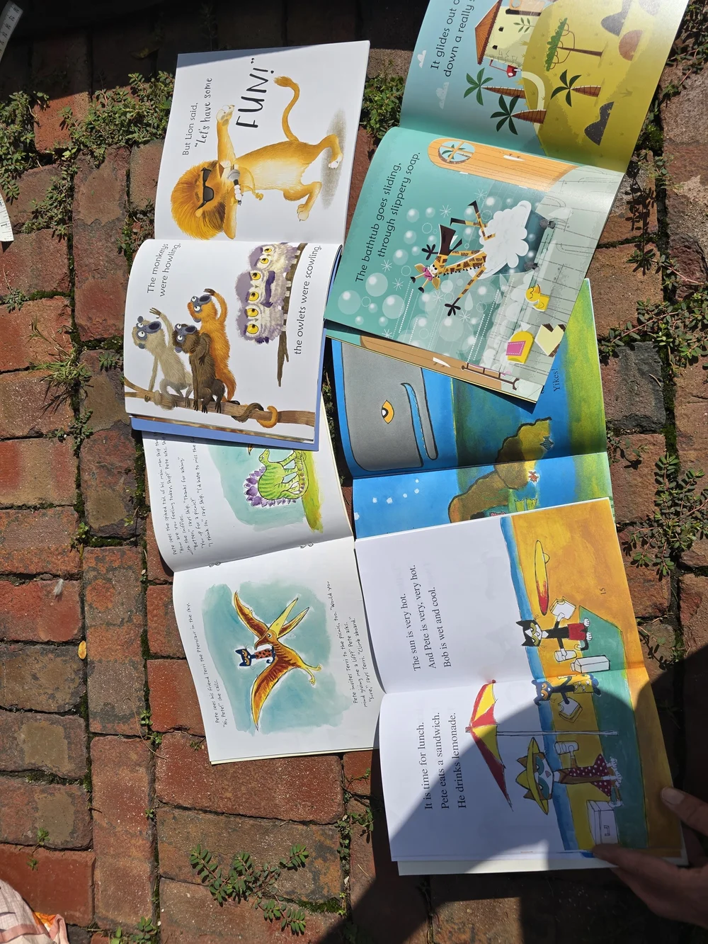 Pete the Cat Kids Book Set Learn To Read Lift The Flap Sticker Books Rhyme